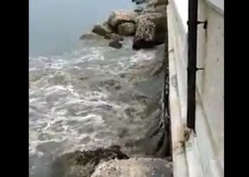 Matteotti