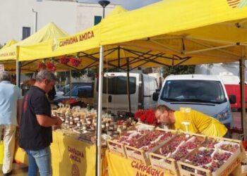 Energia 4 Consumatori Su 10 A Caccia Di Cibo A Km0