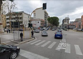 Cotugno