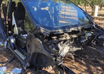 Ford Cannibalizzata