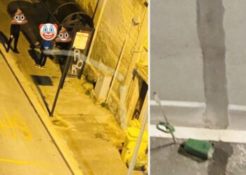 9132cb8e C06c 4f80 9f06 D7c35a7108cd