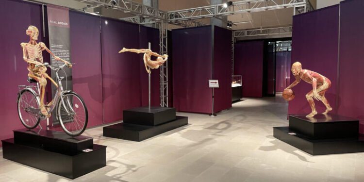 Real Bodies Foto Conferenza 2