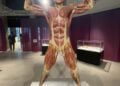 Real Bodies Foto Conferenza 3