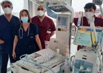 Utin Di Venere Incubatrice E Ventilatore Carrellato (5)