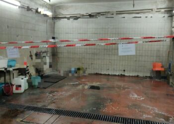 Whatsapp Image 2022 11 25 At 18.14.32