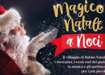 Natale Noci
