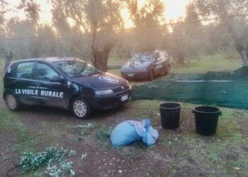 Operazione Vigile Rurale