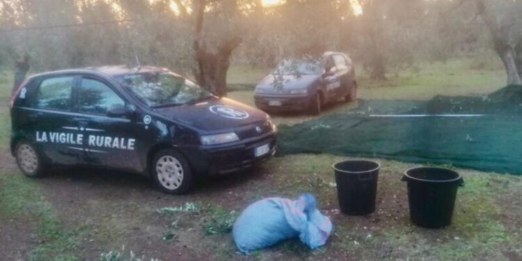 Operazione Vigile Rurale