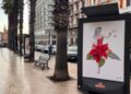 Megamark, Illustrazioni Cusano 3