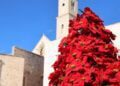 Natale A Giovinazzo 2