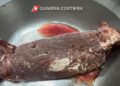 Ezy Watermark 28 12 2022 08 35 08am