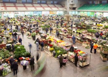 Mercato Dei Fiori Terlizzi Panoramica