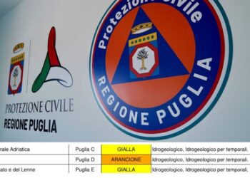 Protezione Civile 2