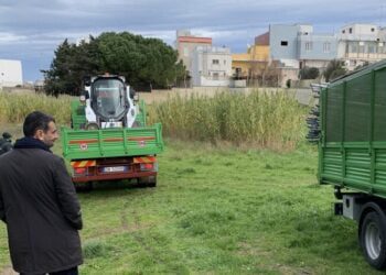 16 01 23 Apertura Cantiere Parco Per Tutti