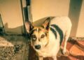 Img 20230117 Wa0013
