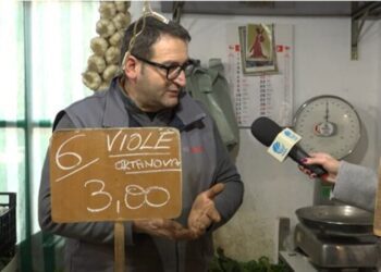 Mercato Ex Manifattura