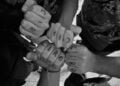 1d2e9066 75f1 4a3c A977 2e3922b008a3