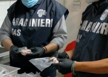 Carabinieri Nas Controlli Ristoranti Pescherie