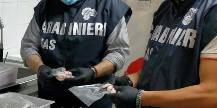 Carabinieri Nas Controlli Ristoranti Pescherie