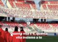 Fefed6f9 3636 4881 A539 2e5a35ec7a69