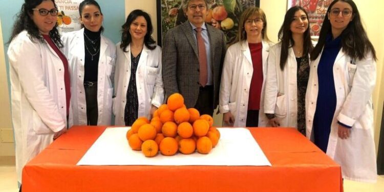 Foto Prof. Giannelli Con Gruppo Ricercatrici Del Centro Nutrizione Clinica