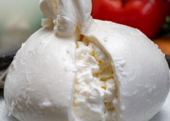 Burrata