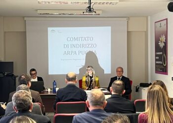 Foto Comitato Di Indirizzo 2023 2