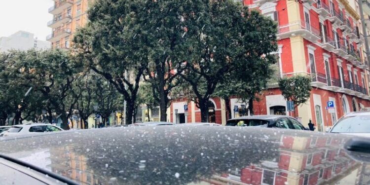 Neve Bari