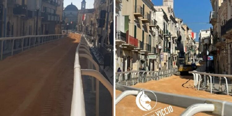 Palio Del Viccio Ev