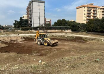 Notizie Ultim'ora Cronaca Di Bari Attualità Sport © Riproduzione Riservata