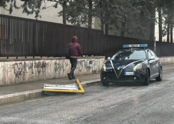 Notizie Ultim'ora Cronaca Di Bari Attualità Sport © Riproduzione Riservata