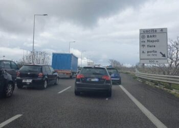 Notizie Ultim'ora Cronaca Di Bari Attualità Sport © Riproduzione Riservata