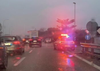Notizie Ultim'ora Cronaca Di Bari Attualità Sport © Riproduzione Riservata