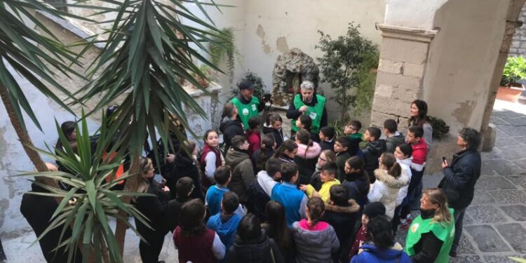 Notizie Ultim'ora Cronaca Di Bari Attualità Sport © Riproduzione Riservata