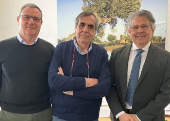 Notizie Ultim'ora Cronaca Di Bari Attualità Sport © Riproduzione Riservata