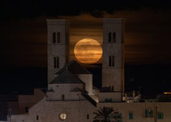 Notizie Ultim'ora Cronaca Di Bari Attualità Sport © Riproduzione Riservata