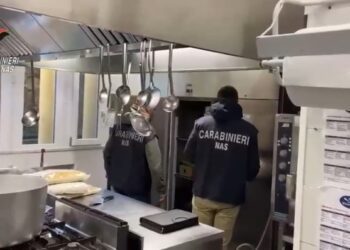 Notizie Ultim'ora Cronaca Di Bari Attualità Sport © Riproduzione Riservata