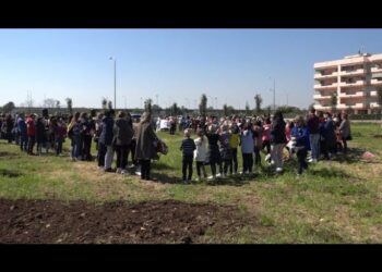 A Palese La Festa Di Primavera: Al Via La Riqualificazione Di Un’area Verde Con Alberi, Panchine E Percorsi Pedonali