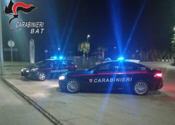 carabinieri bat