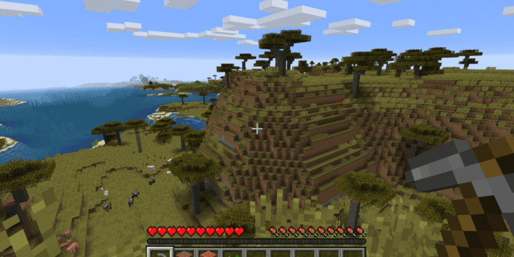 Minecraft