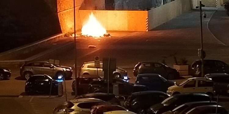 Notizie Ultim'ora Cronaca Di Bari Attualità Sport © Riproduzione Riservata