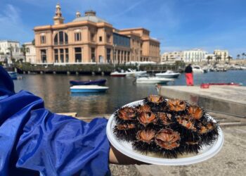 Ricci Di Mare Margherita Molo San Nicola Bari