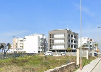 Notizie Ultim'ora Cronaca Di Bari Attualità Sport © Riproduzione Riservata