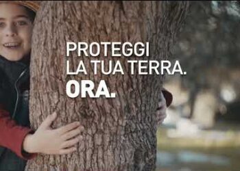 “una Puglia Senza Ulivi? Purtroppo Non è Un Gioco, Proteggi La Tua Terra”. Lo Spot Della Regione Contro La Xylella