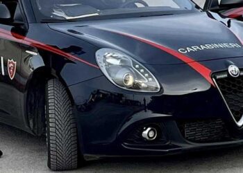 Bisceglie54 Edit