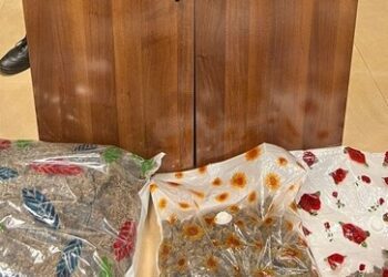 Locorotondo 13 Kg Marijuana Bis