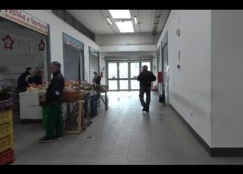 A San Pasquale Un Mercato Con Prodotti A Km Zero, Comune Di Bari Pronto Con Un Nuovo Bando – Video
