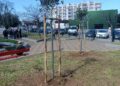 Foibe 4