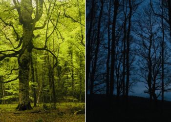 Photo Output (3)