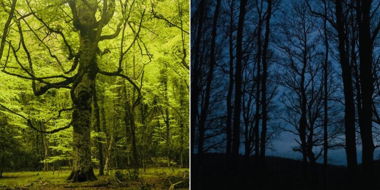 Photo Output (3)